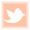 follow us on twitter!