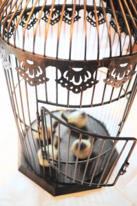 Brown Metal Bird Cage {Quantity 1}